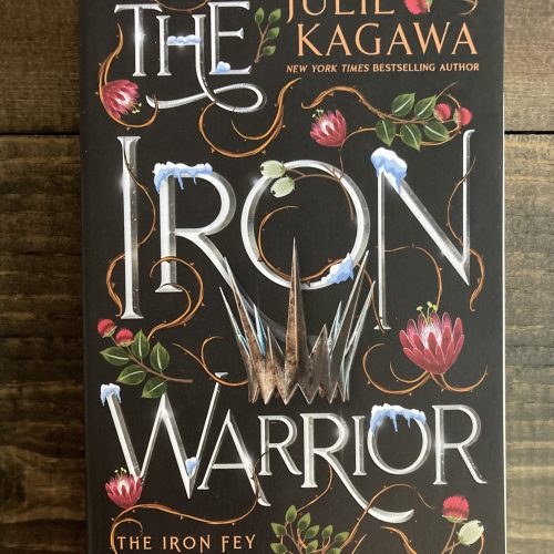 The Iron Warrior: Special Edition front cover