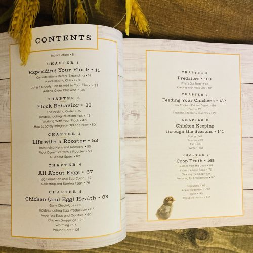 Backyard Chickens inside view