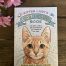 Kitten Lady's Cativity Book front cover