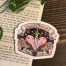 Romantasy Book Club