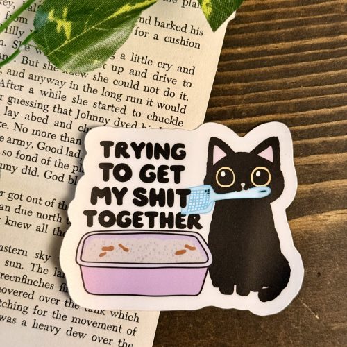 Trying To Get My Shit Together